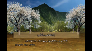 - تلاوة القرآن الکریم ، سورة الأحقاف الآیات